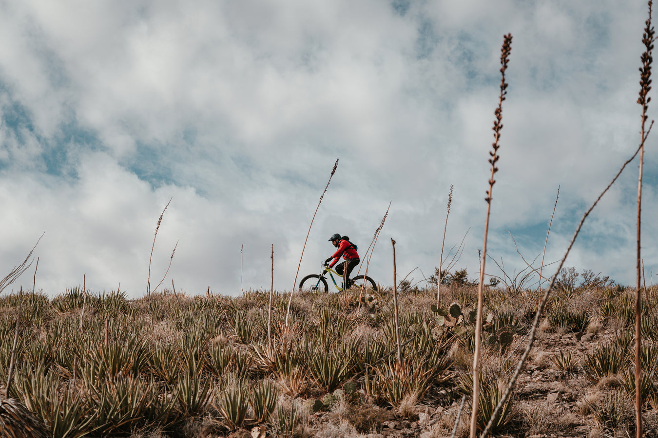 a man mountain biking in the high desert