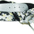 TCK White / Adult Digital Camo Design Baseball Belt and Softball Belt